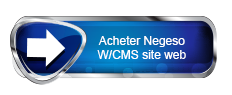 Online uw CMS website met custom webdesign samenstellen en kopen met de Negeso Website Buy Wizard