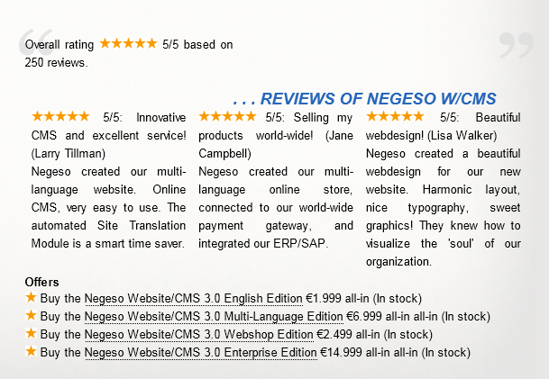 Rich Snippets in de website van Negeso